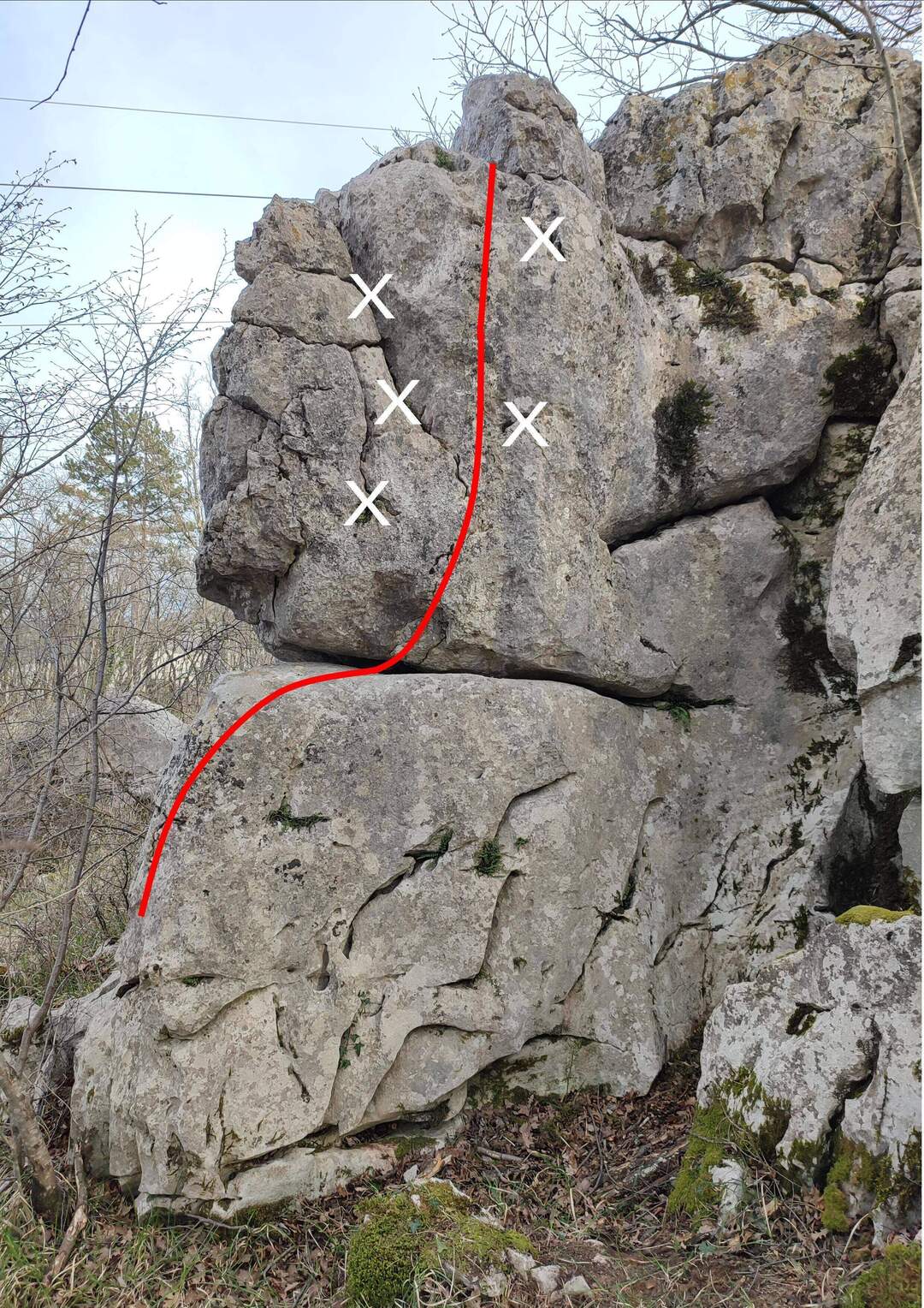 Linea A - SVASO DI FIORI